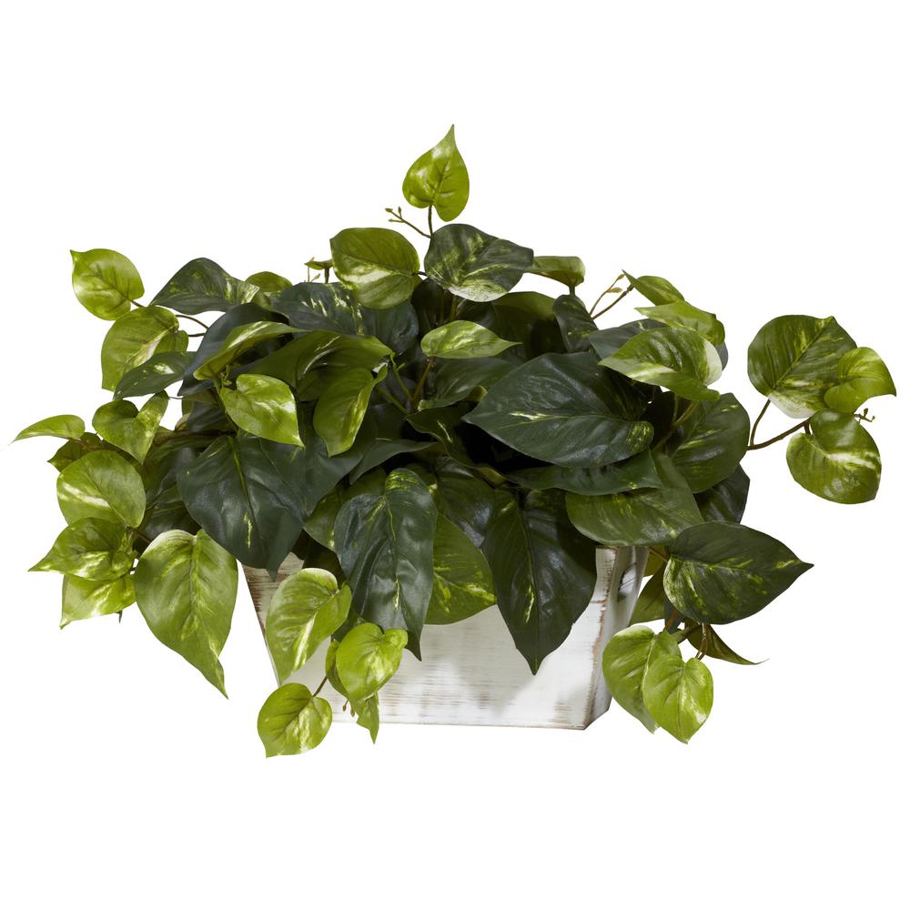 Pothos with White Wash Planter Silk Plant. Picture 3
