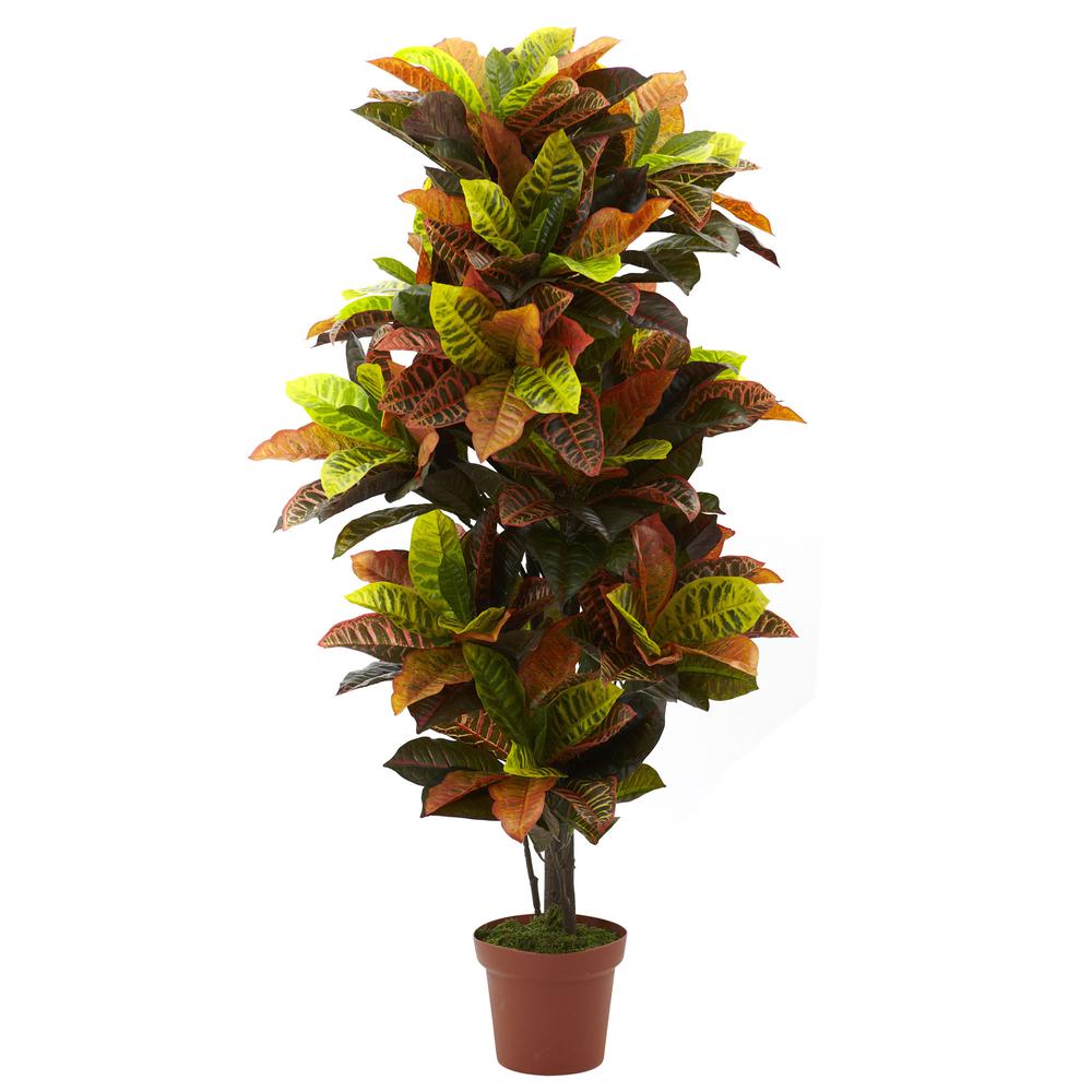 56in. Croton Plant (Real Touch). Picture 1