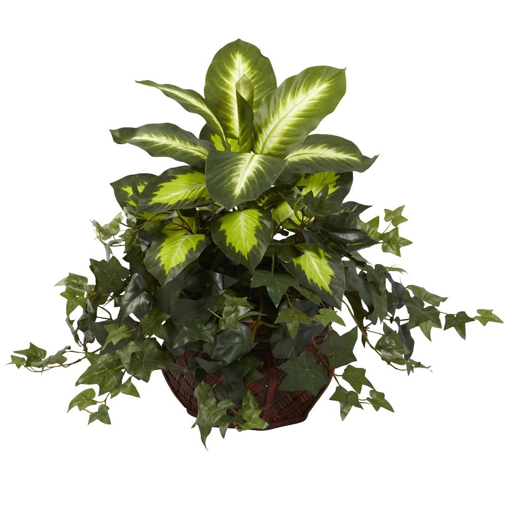 Dieffenbachia & Ivy with Decorative Planter. Picture 1