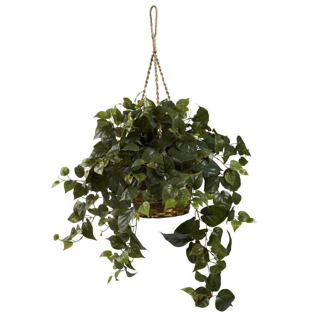 Philo Hanging Basket. Picture 1