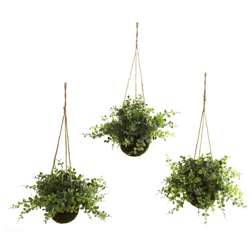 Eucalyptus, Maiden Hair & Berry Hanging Basket (Set of 3). Picture 2