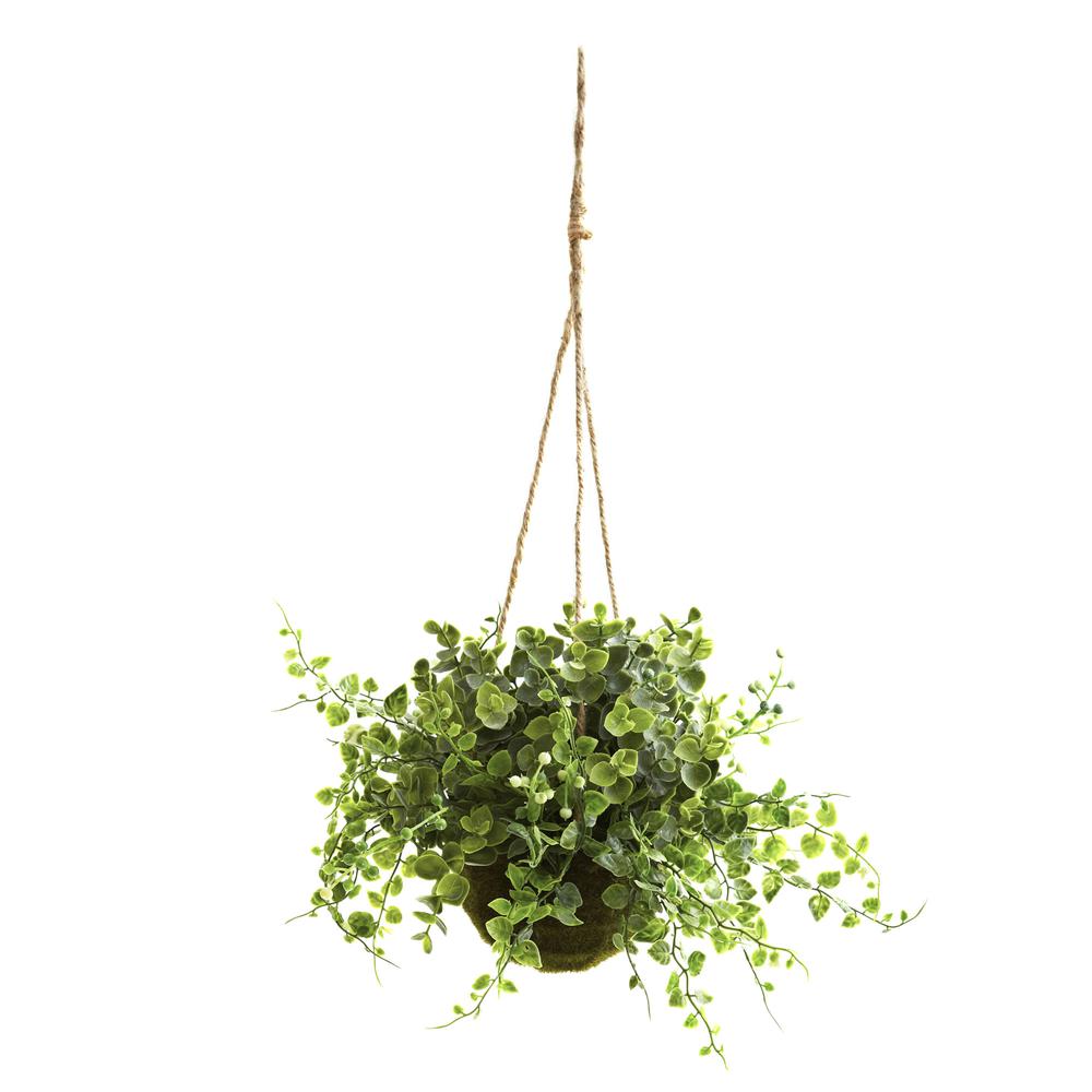 Eucalyptus, Maiden Hair & Berry Hanging Basket (Set of 3). Picture 1