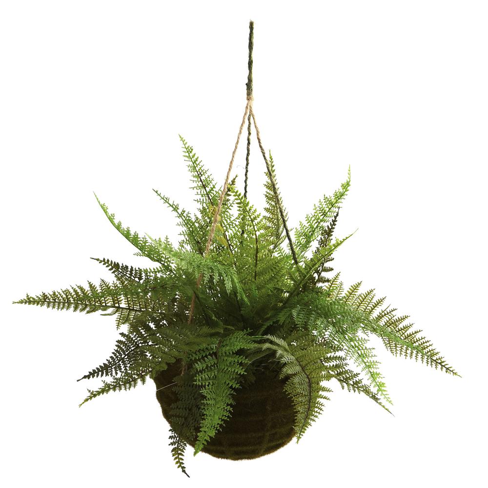 Leather Fern with Mossy Hanging Basket (Indoor/Outdoor) (Set of 2). Picture 3