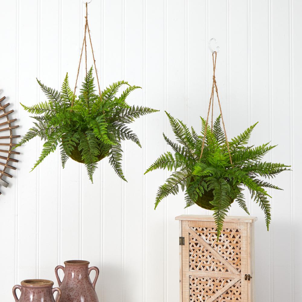 Leather Fern with Mossy Hanging Basket (Indoor/Outdoor) (Set of 2). Picture 4