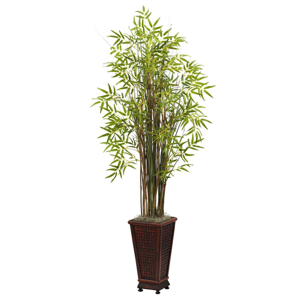 5.5ft. Grass Bamboo Plant with Decorative Planter. Picture 1