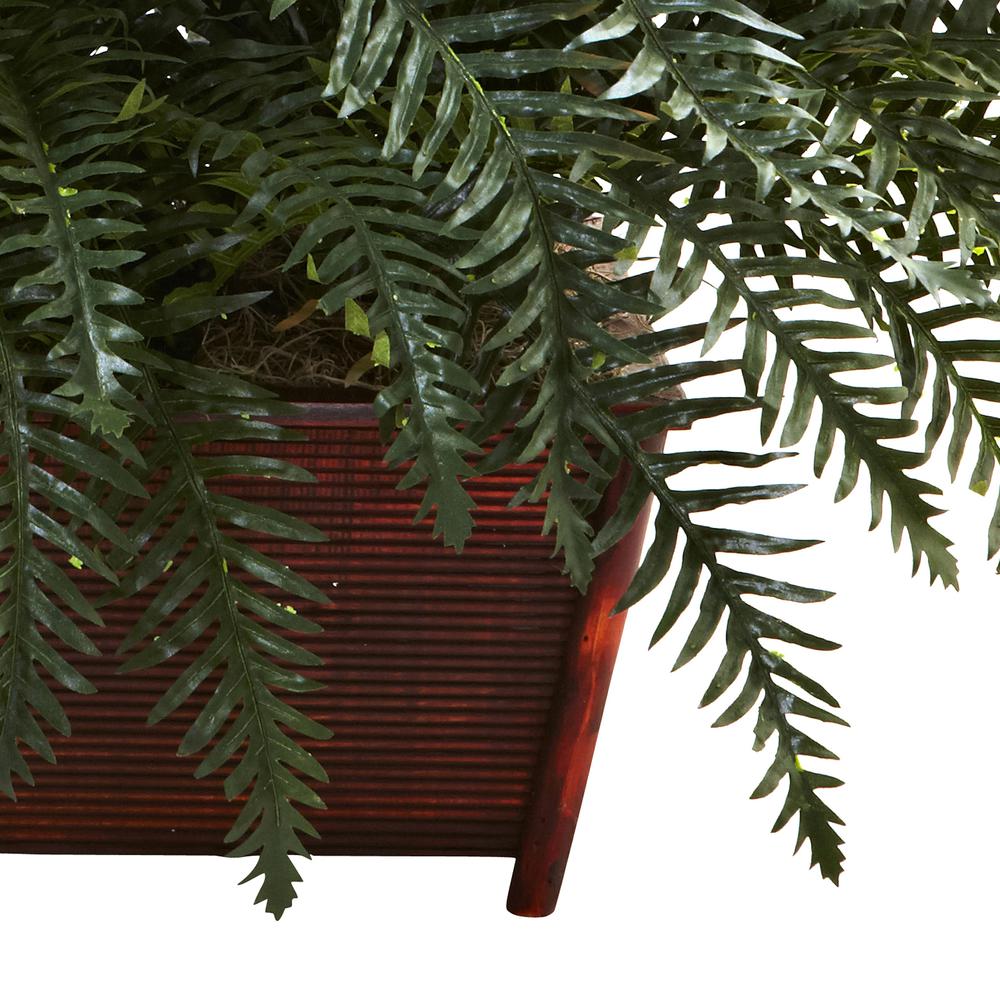 River Fern with Wood Planter. Picture 3