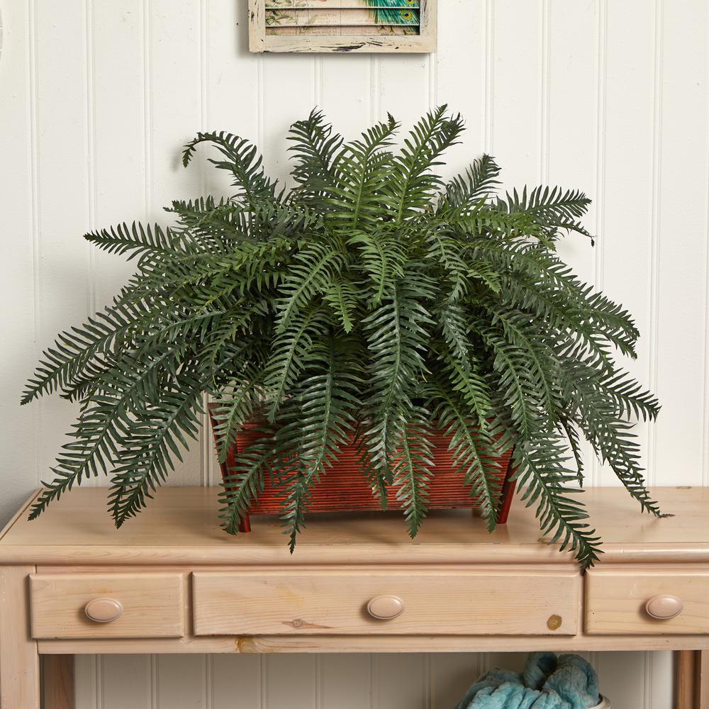 River Fern with Wood Planter. Picture 5