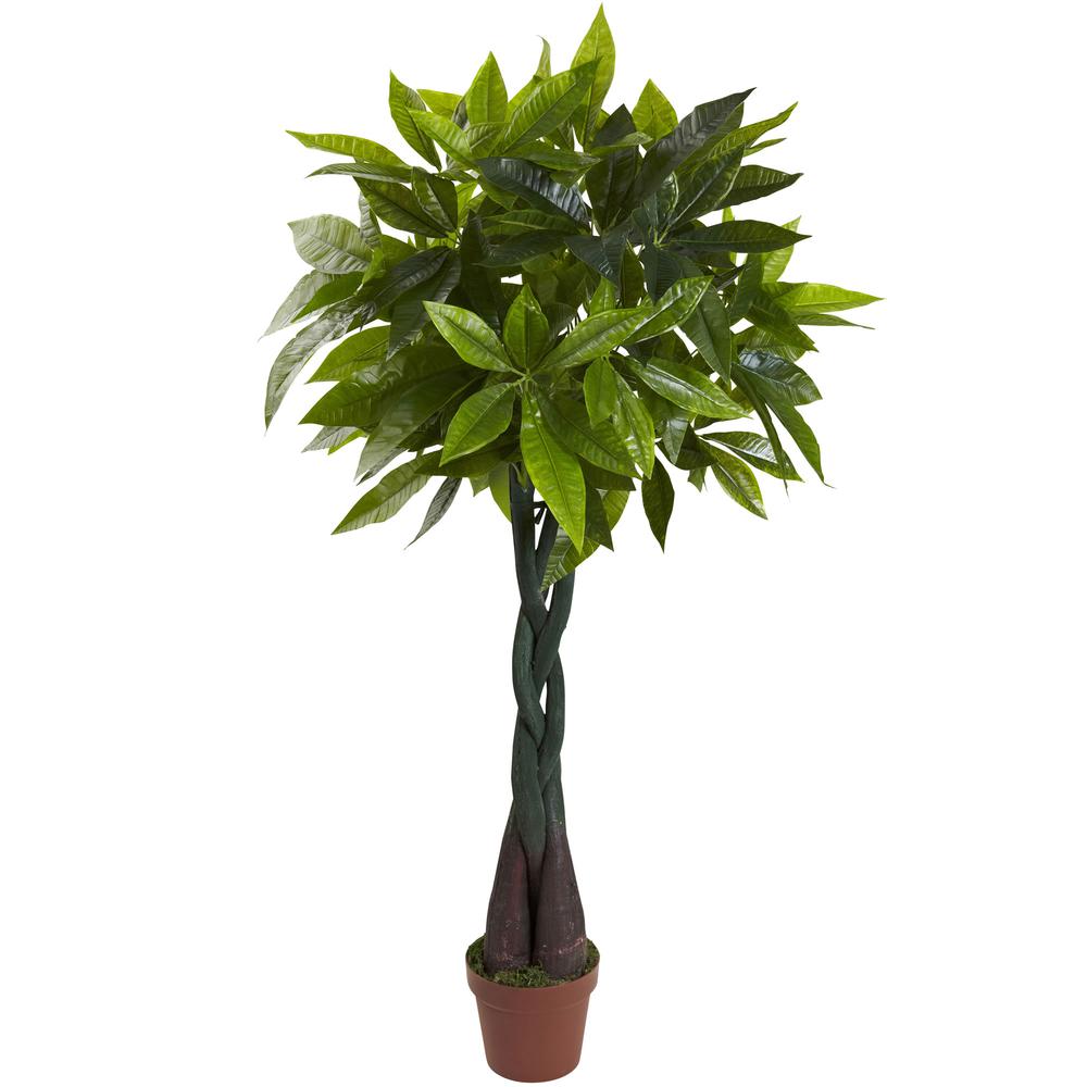4ft. Money Plant (Real Touch). Picture 1