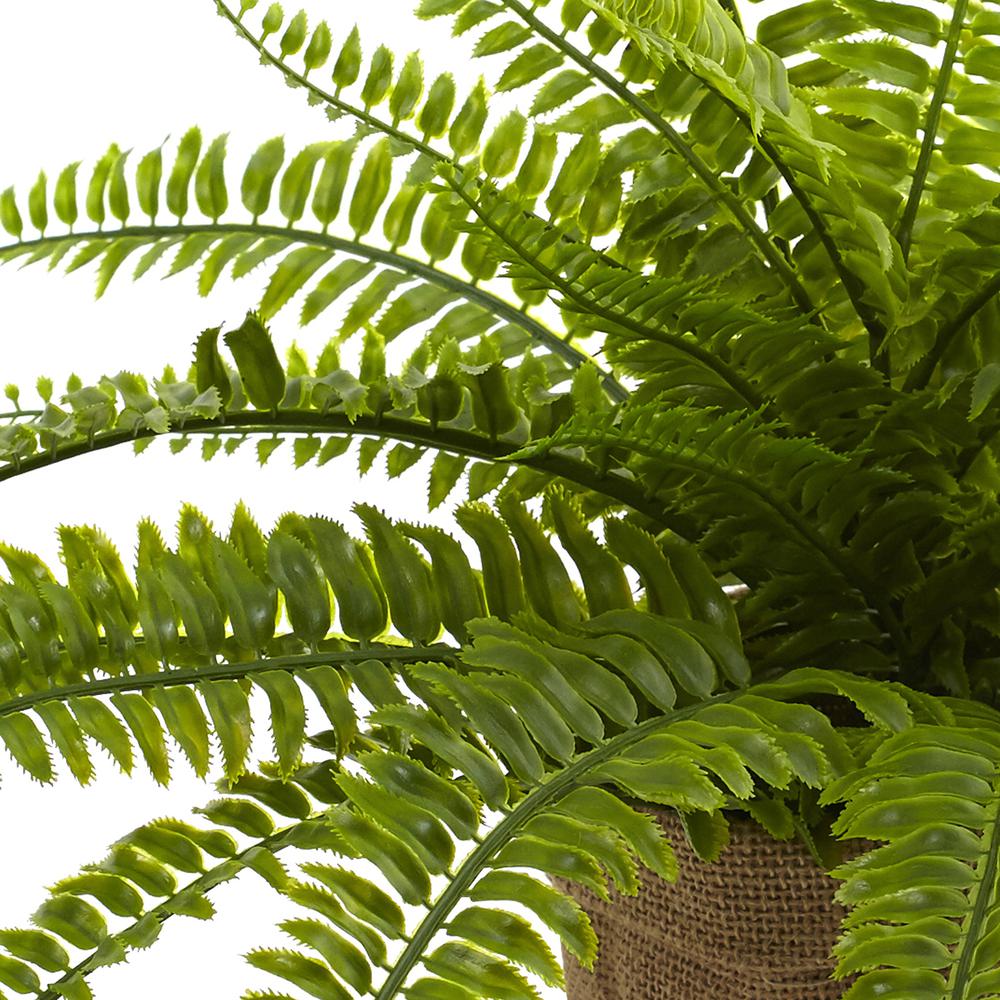 Boston Fern with Burlap Planter (Set of 2). Picture 6