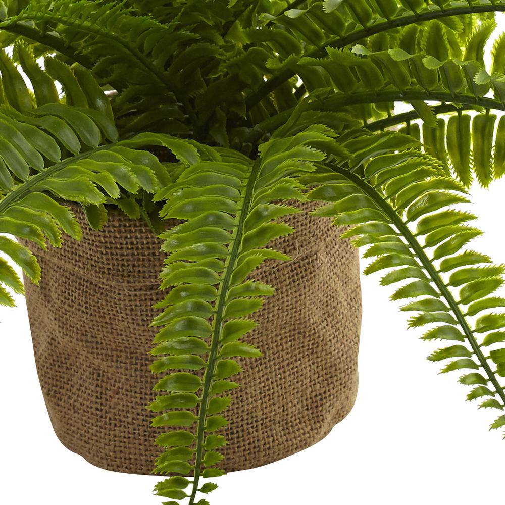 Boston Fern with Burlap Planter (Set of 2). Picture 4