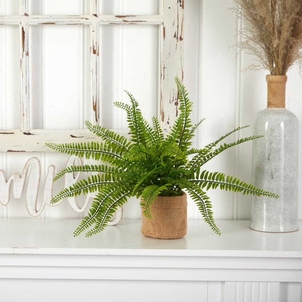 Boston Fern with Burlap Planter (Set of 2). Picture 2