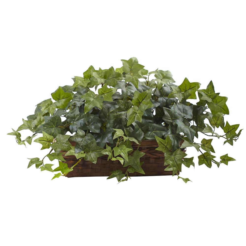 Puff Ivy with Ledge Basket. Picture 1