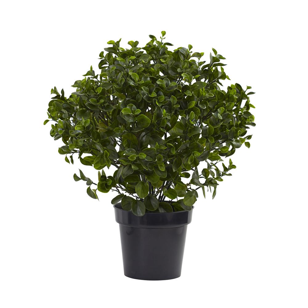 28in. Peperomia Plant UV Resistant (Indoor/Outdoor). Picture 1