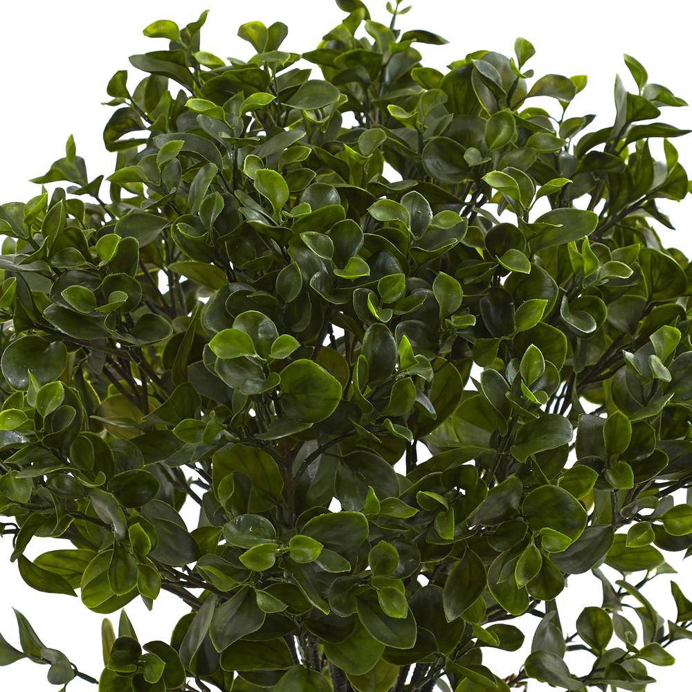 28in. Peperomia Plant UV Resistant (Indoor/Outdoor). Picture 3