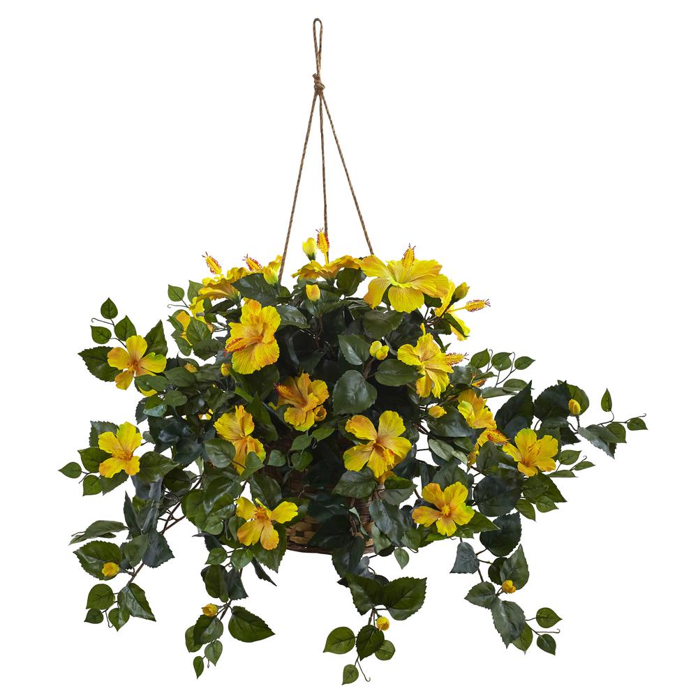 Hibiscus Hanging Basket - Yellow. Picture 1