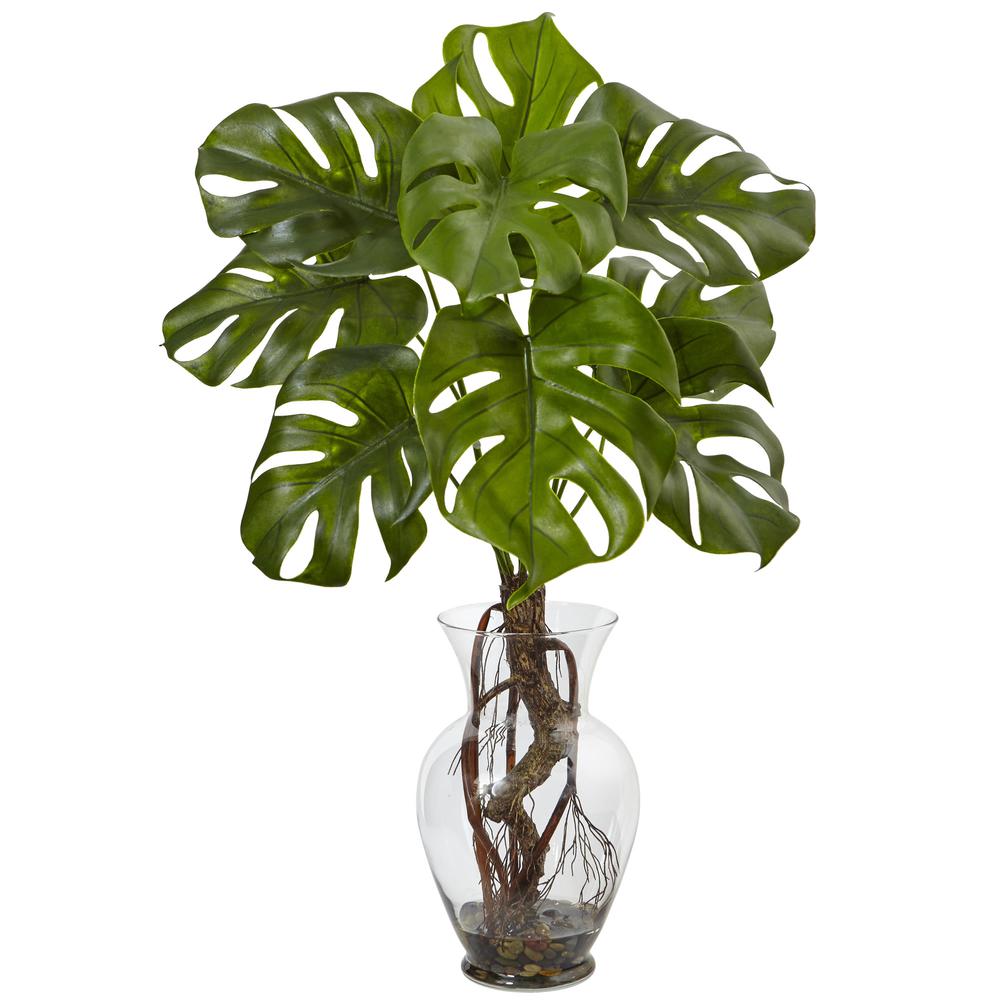 26in. Monstera Plant in Rocks with Glass Vase. Picture 1