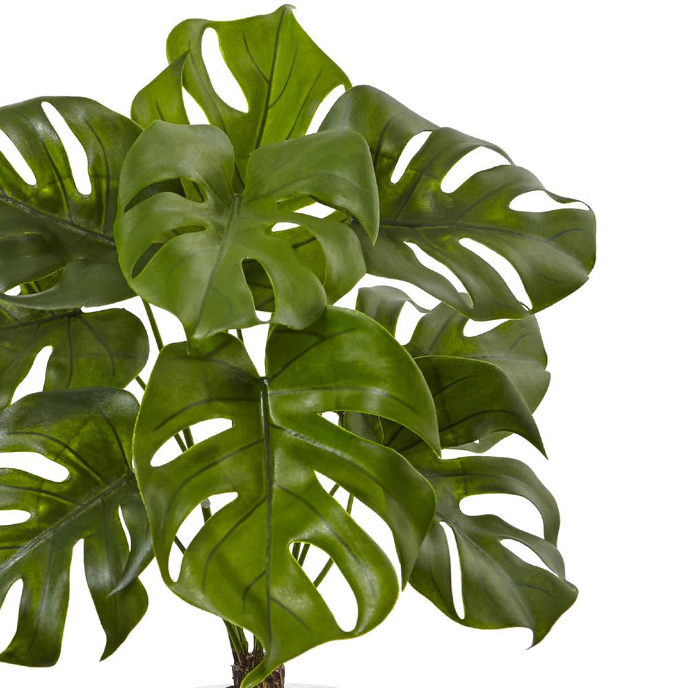 26in. Monstera Plant in Rocks with Glass Vase. Picture 2