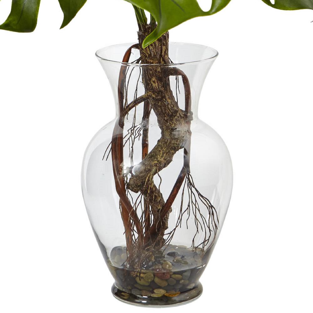 26in. Monstera Plant in Rocks with Glass Vase. Picture 3