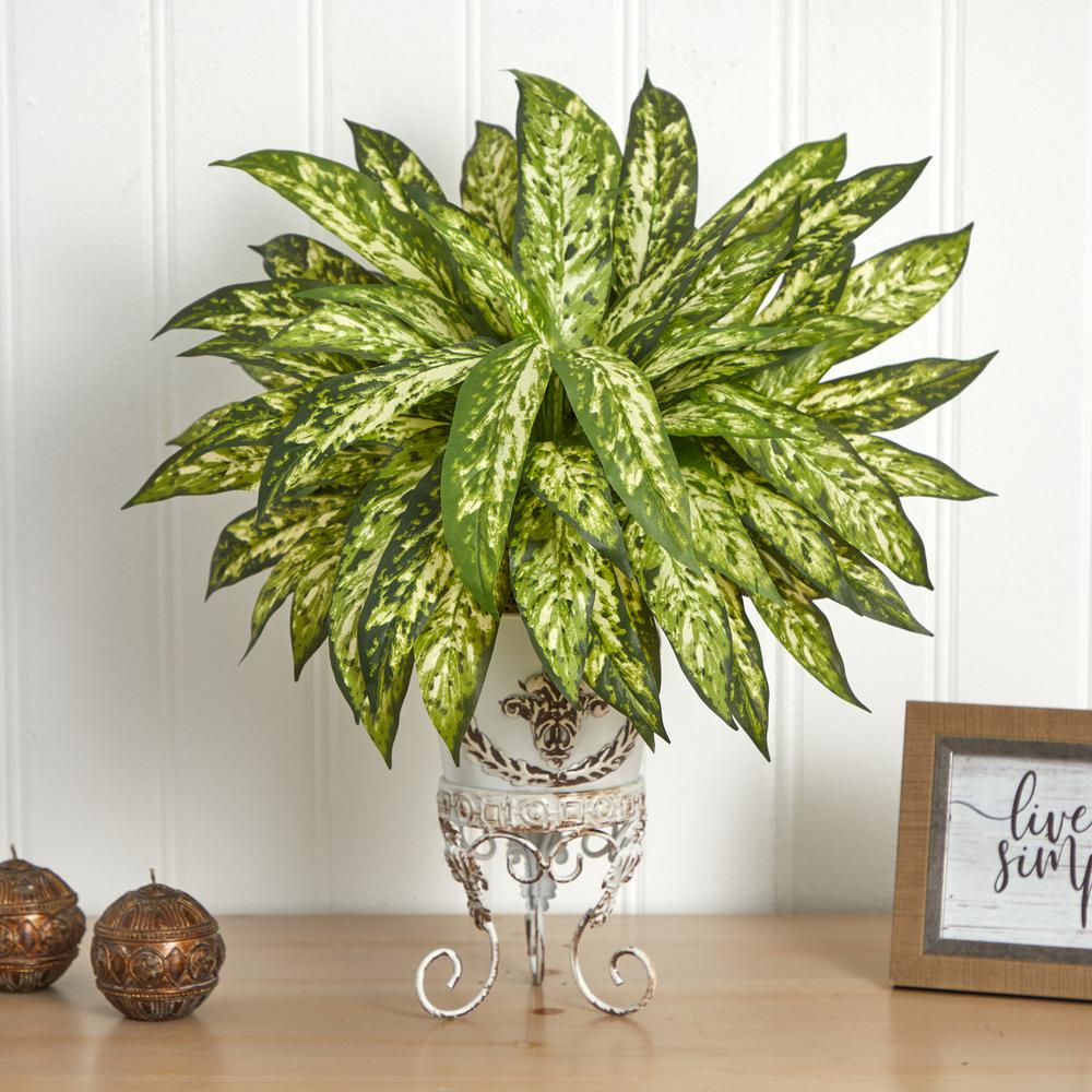 2ft. Aglaonema with Metal Planter. Picture 2