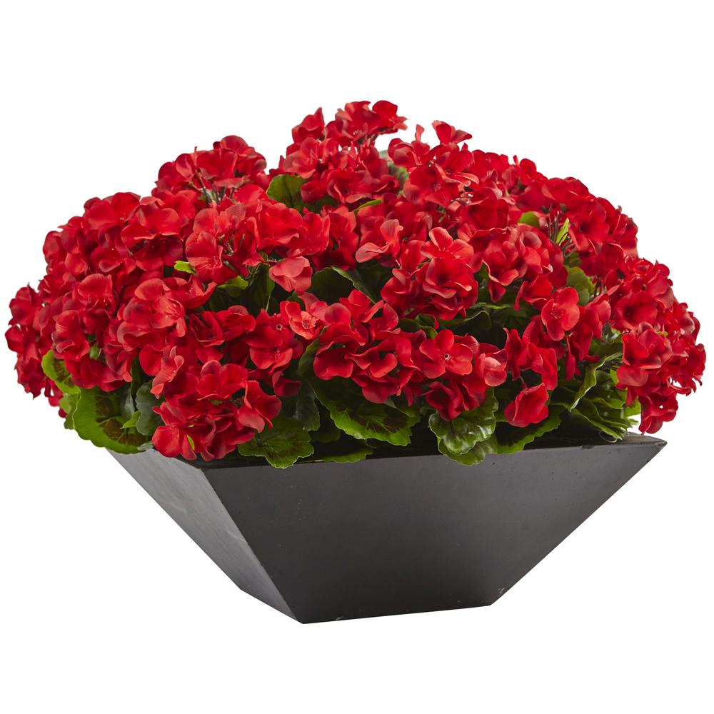 15in. Geranium with Black Planter UV Resistant (Indoor/Outdoor), Red. Picture 1
