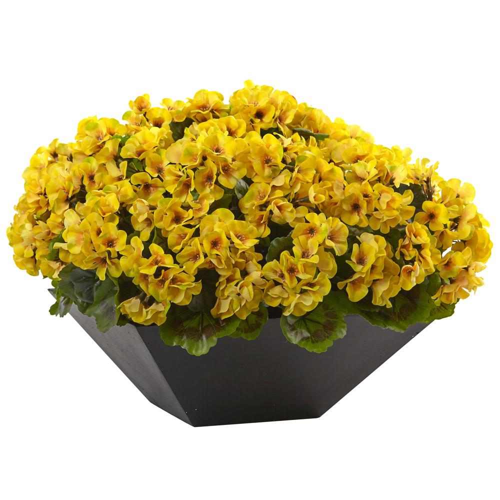 15in. Geranium with Black Planter UV Resistant (Indoor/Outdoor), Yellow. Picture 1
