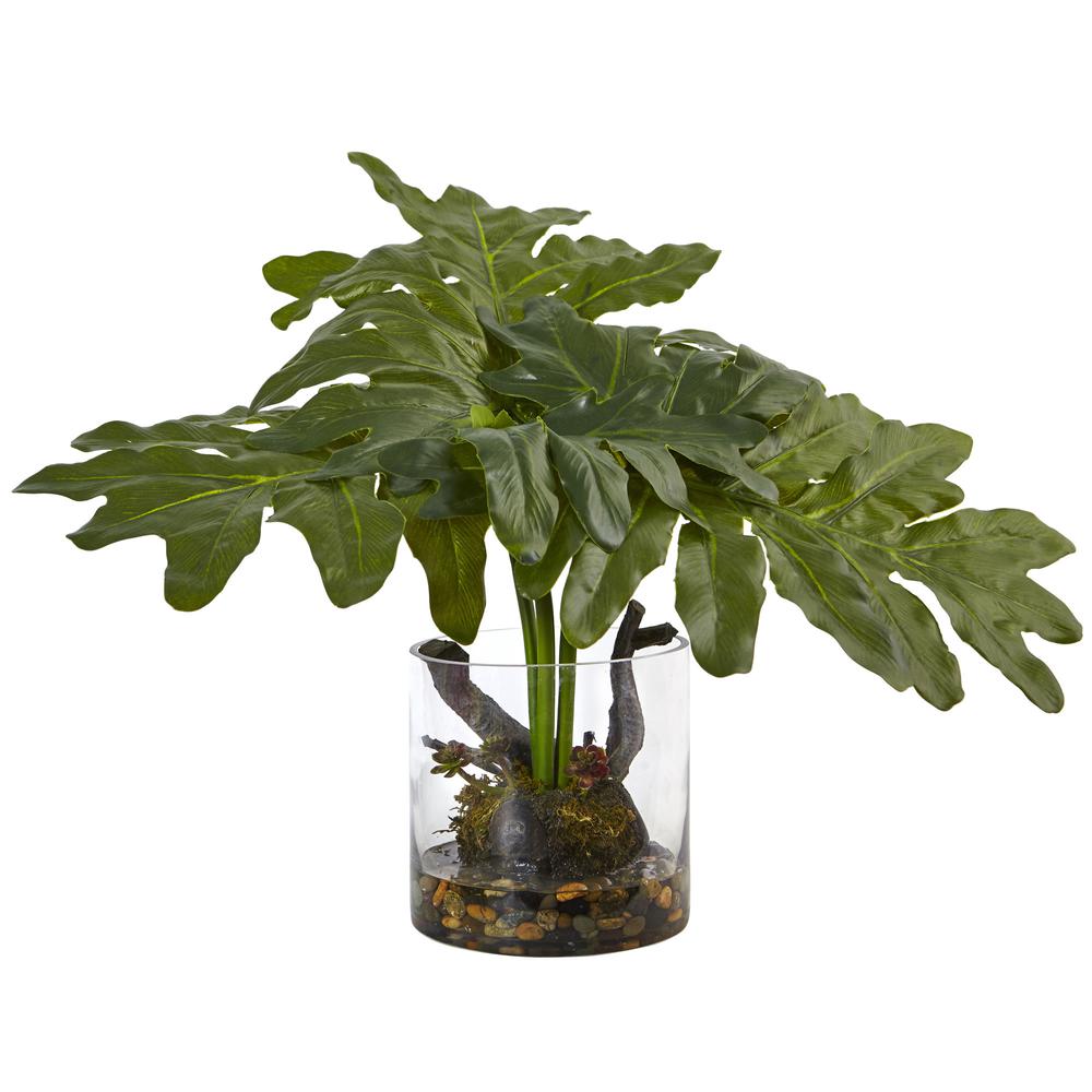 Philodendron Arrangement with Vase. Picture 1