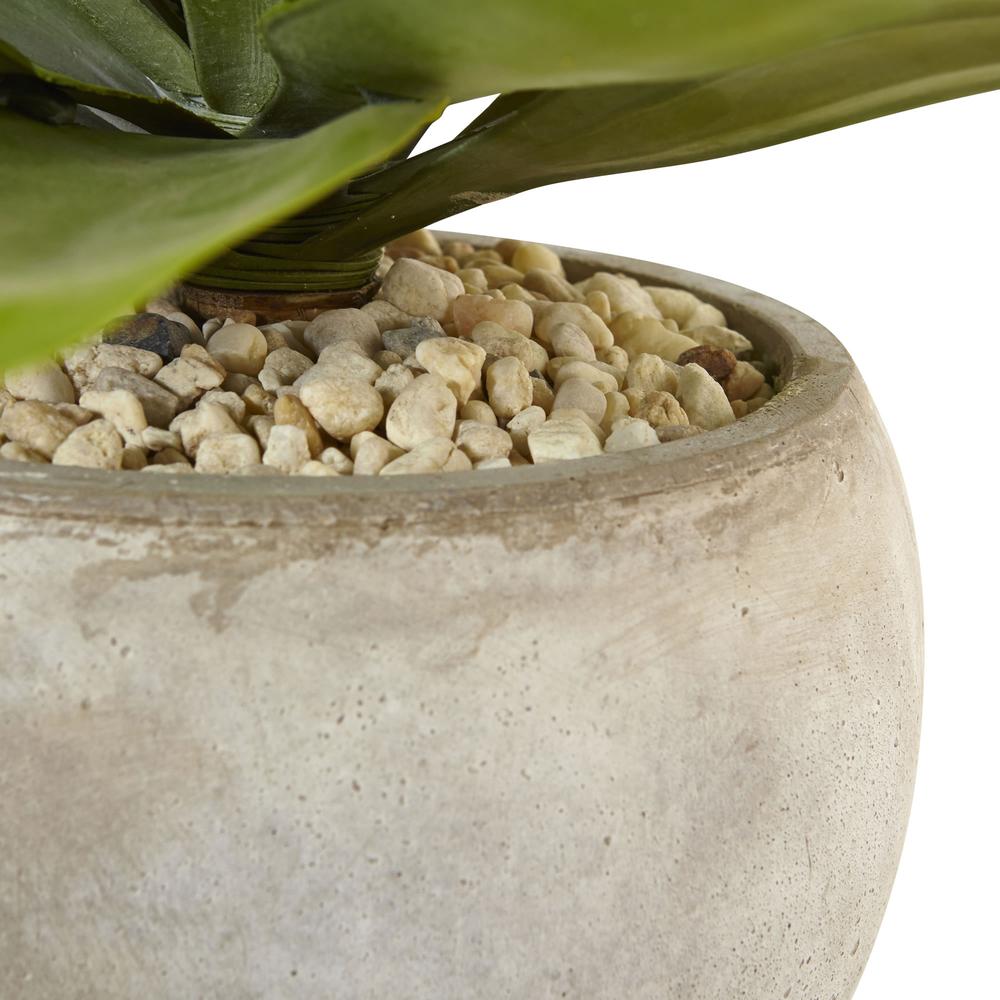 24in. Agave Artificial Plant in Sand Colored Bowl. Picture 4