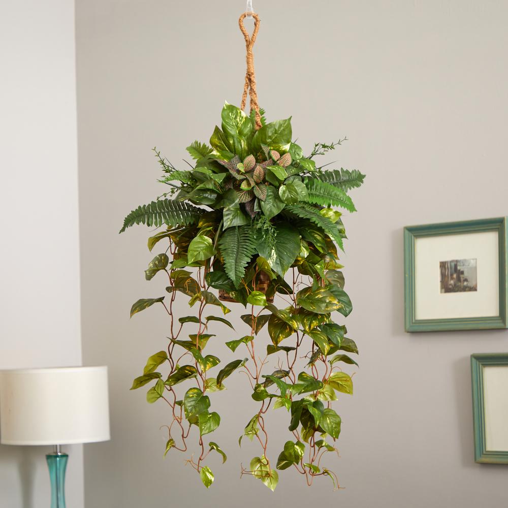 Mixed Pothos and Boston Artificial Fern in Hanging Basket. Picture 5
