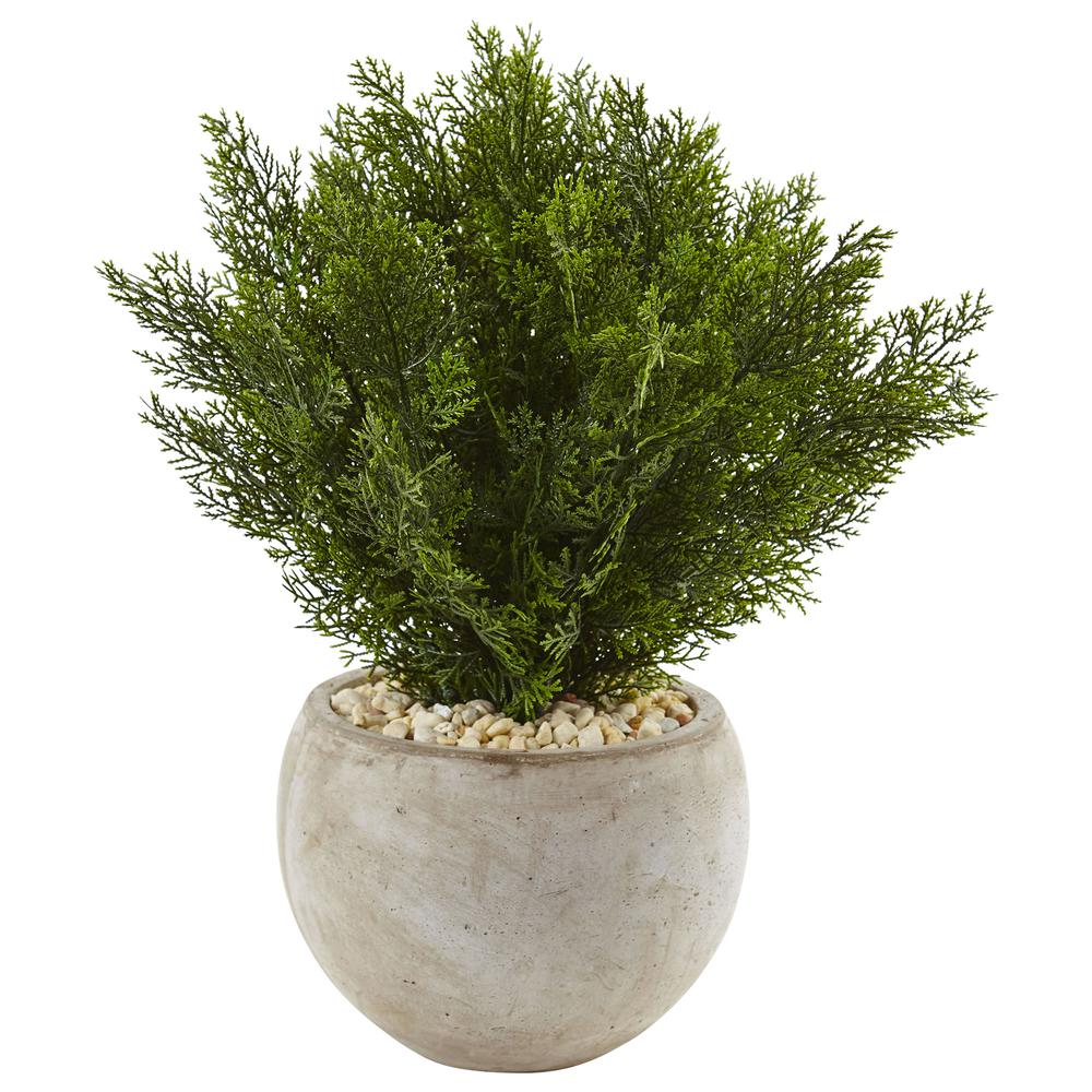 2ft. Cedar Artificial Plant in Sand Colored Bowl. Picture 1