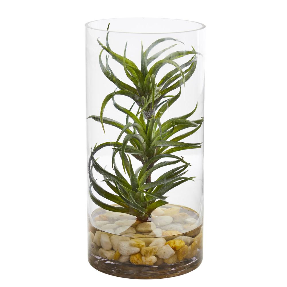 Air Plant Artificial Succulent in Glass Vase. Picture 1