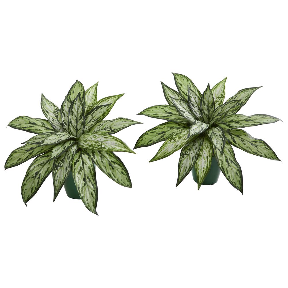 Silver Queen Artificial Plant in Green Planter (Set of 2). Picture 1