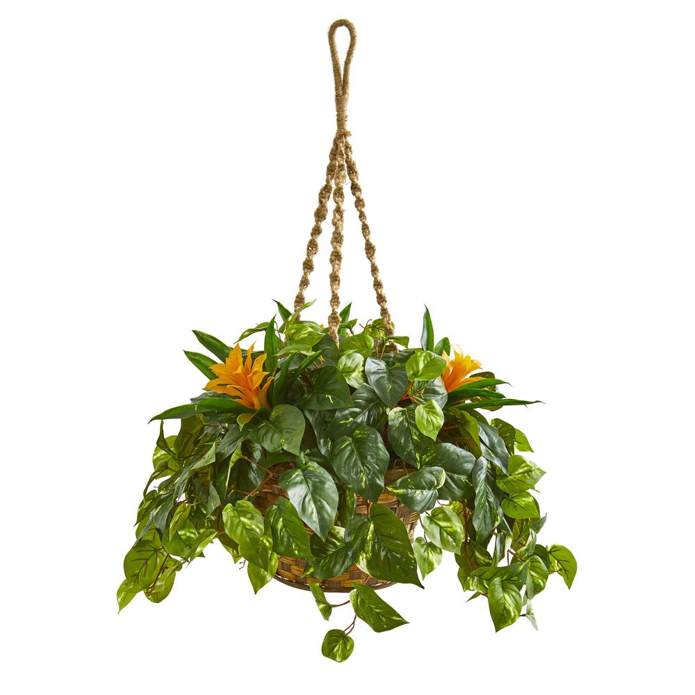 31in. Bromeliad & Pothos Artificial Plant in Hanging Basket. Picture 1