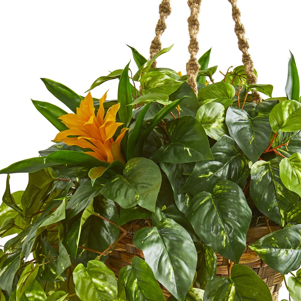 31in. Bromeliad & Pothos Artificial Plant in Hanging Basket. Picture 3