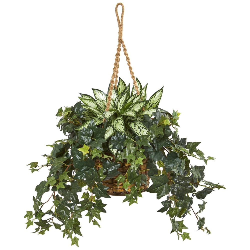 30in. Silver Queen and Ivy Artificial Plant in Hanging Basket. Picture 1
