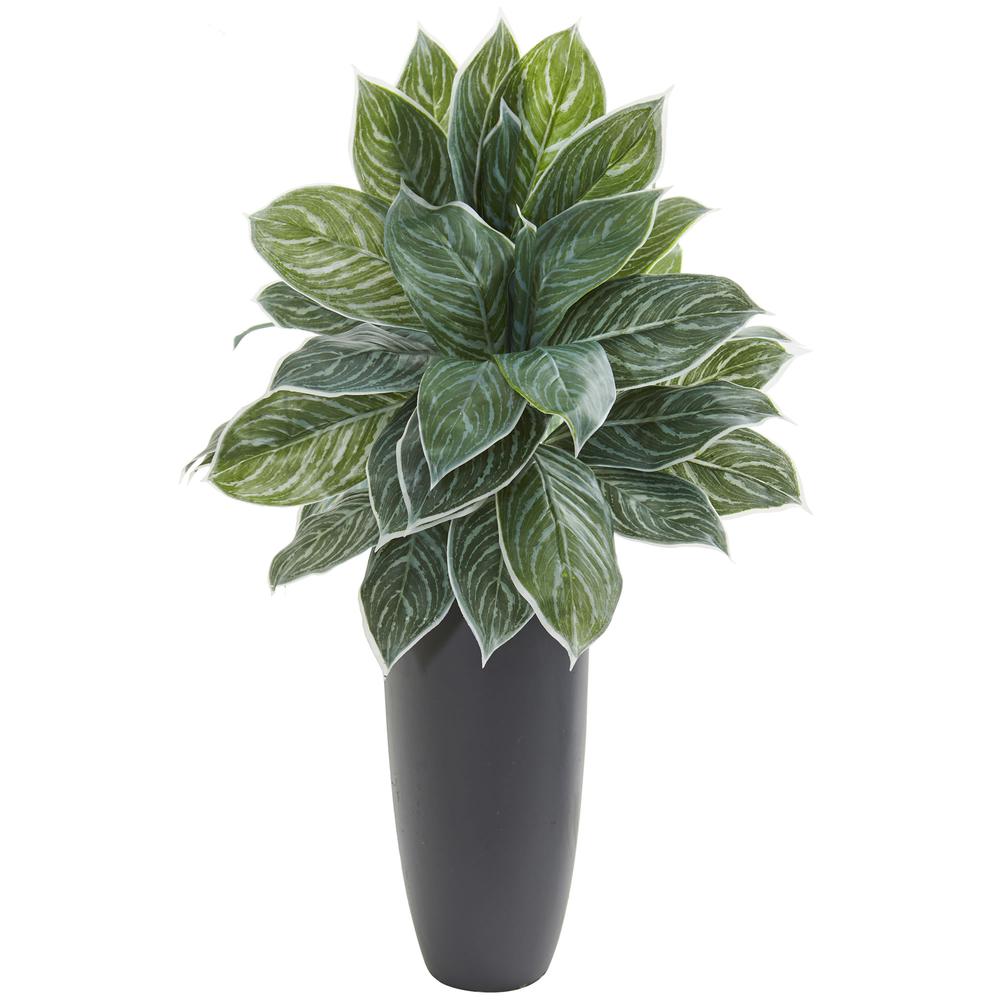 37in. Aglaonema Artificial Plant in Planter (Real Touch). Picture 1