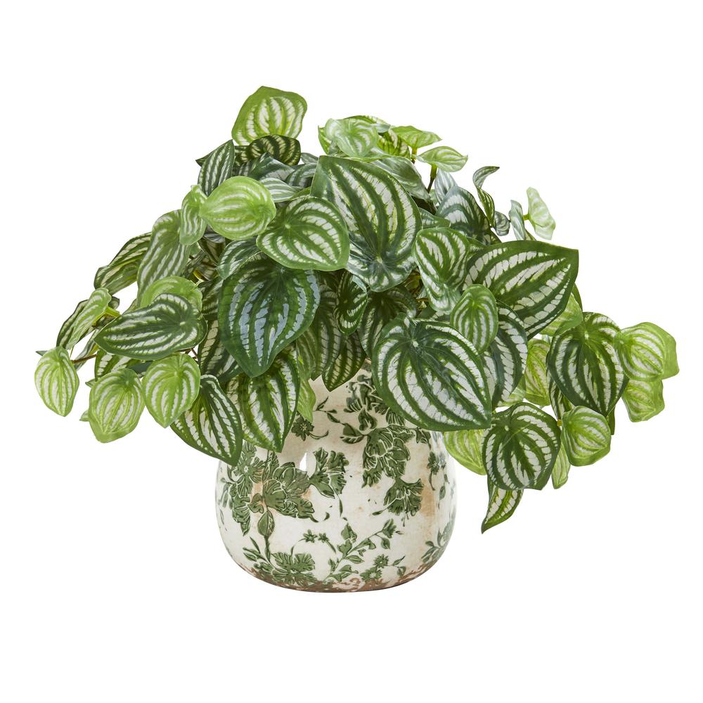 Watermelon Peperomia Artificial Plant in Vase (Real Touch). Picture 1
