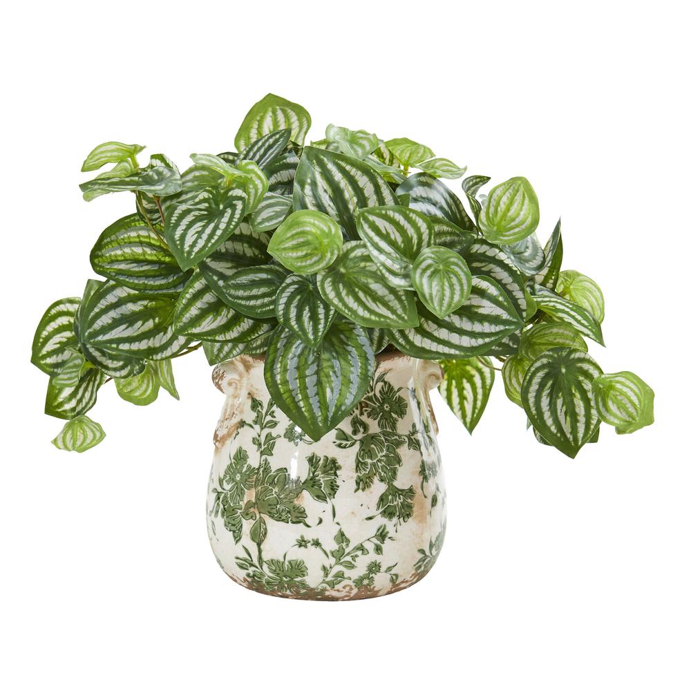 Watermelon Peperomia Artificial Plant in Vase (Real Touch). Picture 2