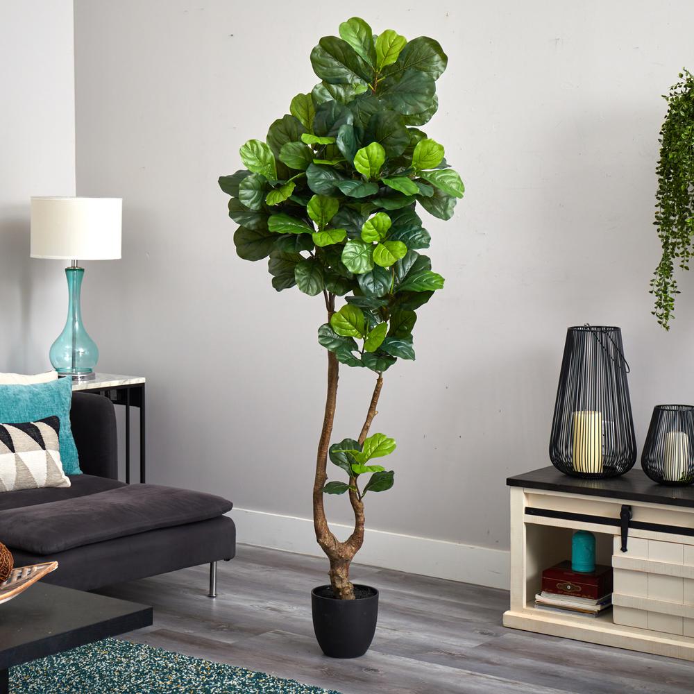 78in. Fiddle Leaf Artificial Tree (Real Touch). Picture 4