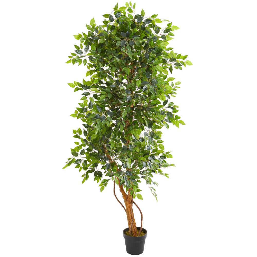 6ft. Elegant Ficus Artificial Tree. Picture 1