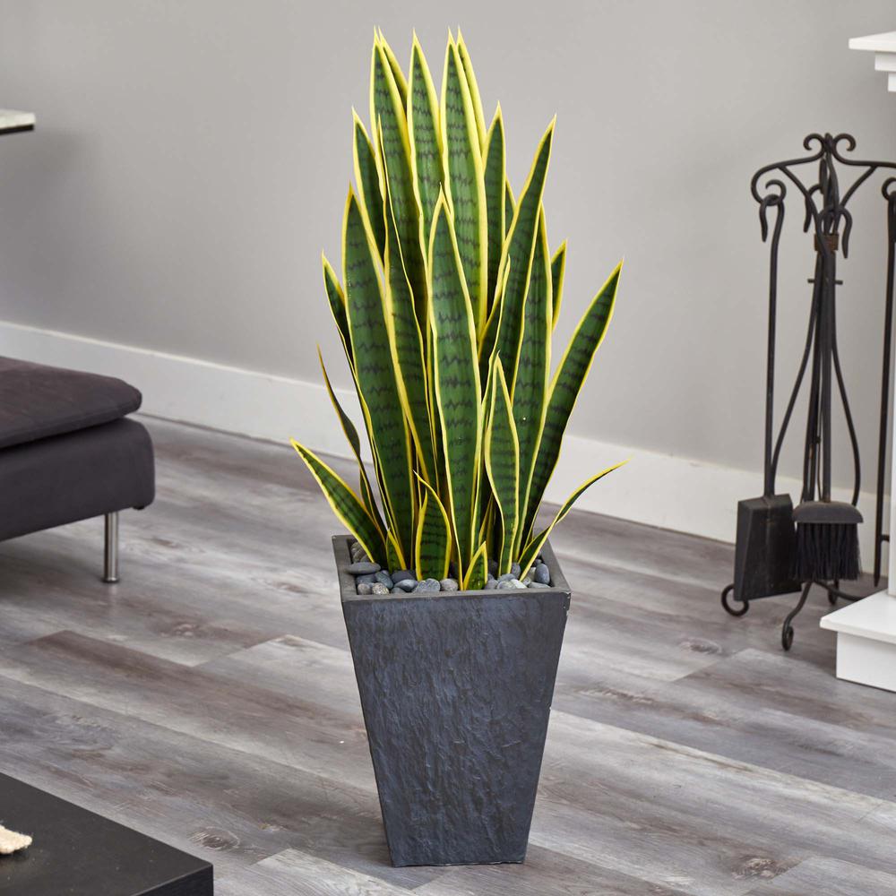 3.5ft. Sansevieria Artificial Plant in Slate Planter. Picture 5