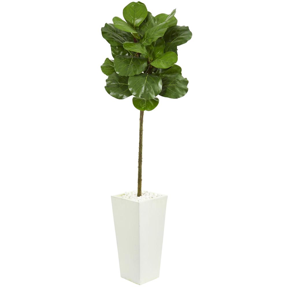 5.5ft. Fiddle Leaf Artificial Tree in White Tower Planter. Picture 1