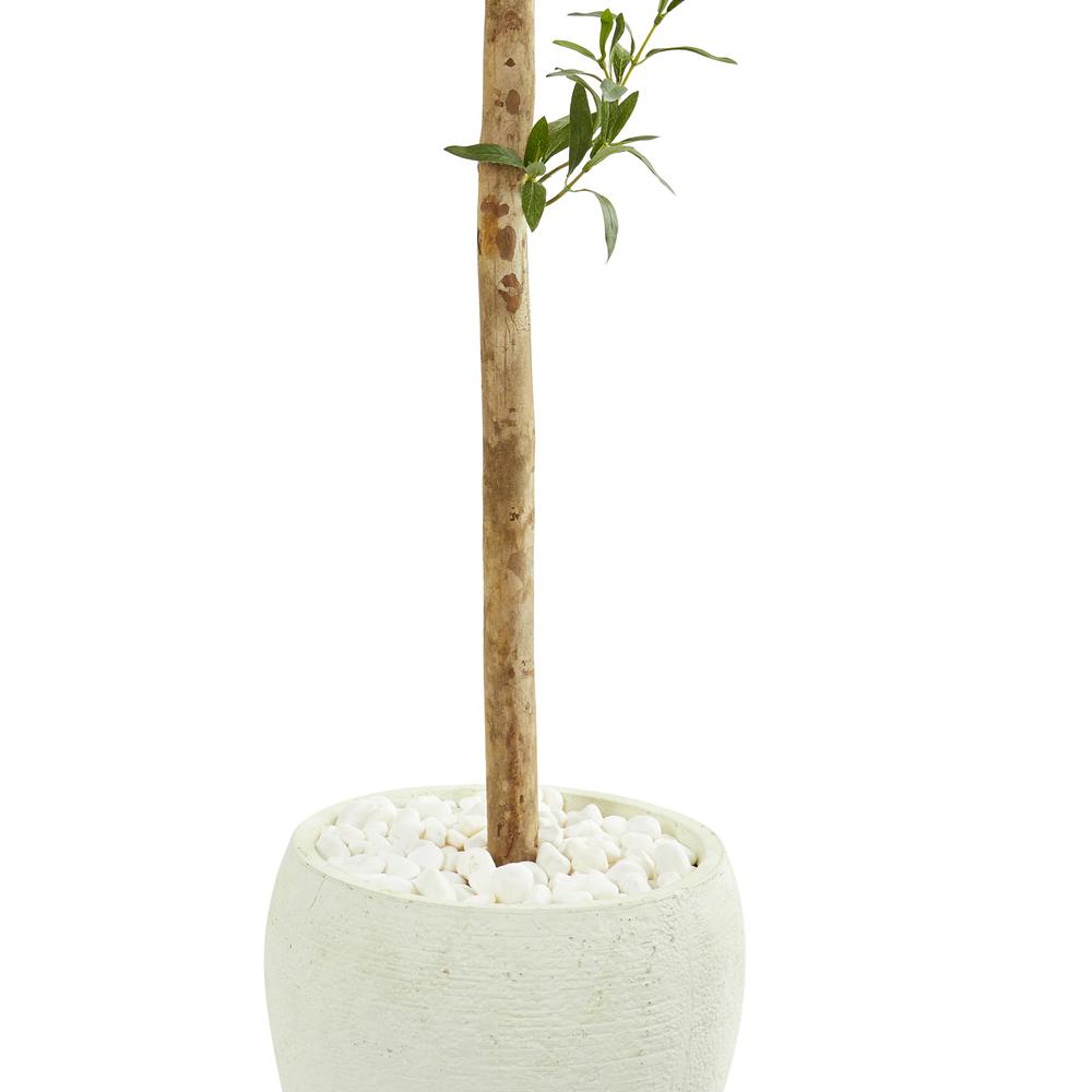 5ft. Olive Topiary Artificial Tree in White Planter. Picture 3