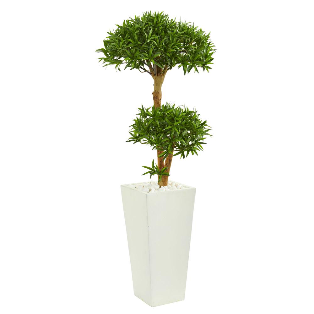 50in. Bonsai Styled Podocarpus Artificial Tree in Tower Planter. Picture 1