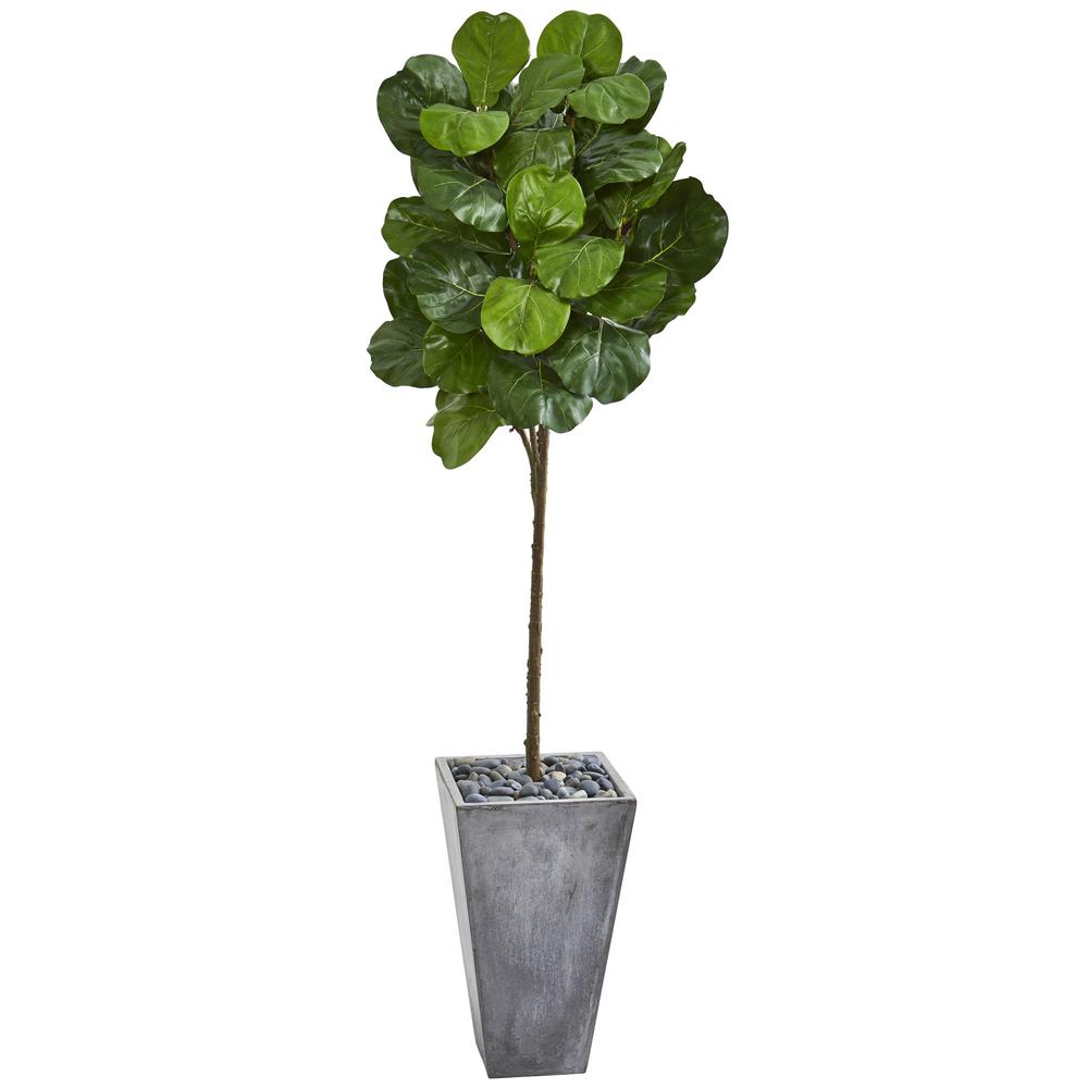 75in. Fiddle Leaf Artificial Tree in Cement Planter. Picture 1