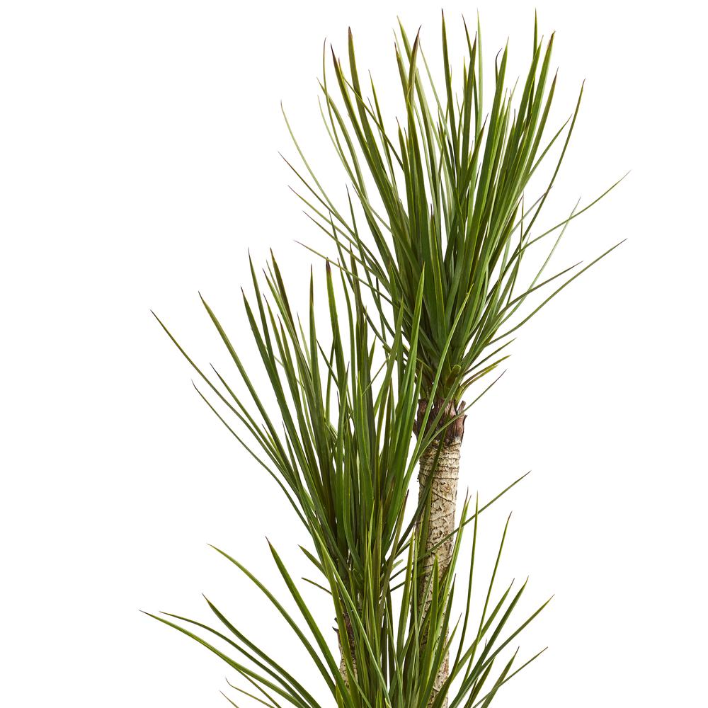 63in. Yucca Artificial Tree in Black Planter. Picture 3