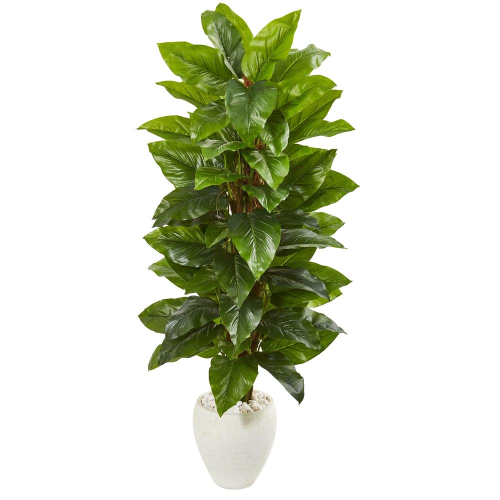 63in. Large Leaf Philodendron Artificial Plant in White Planter (Real Touch). Picture 1