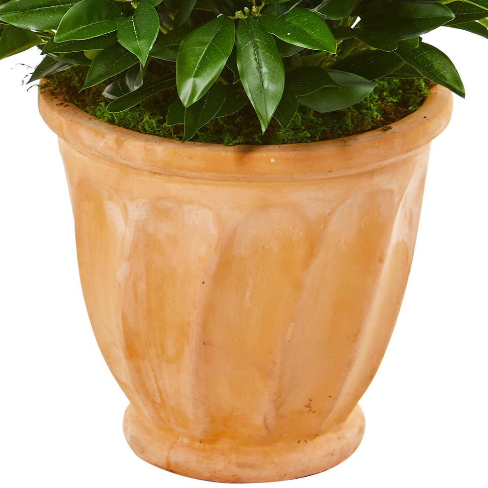 4.5ft. Bay Leaf Cone Topiary Artificial Tree in Terra Cotta Planter. Picture 3