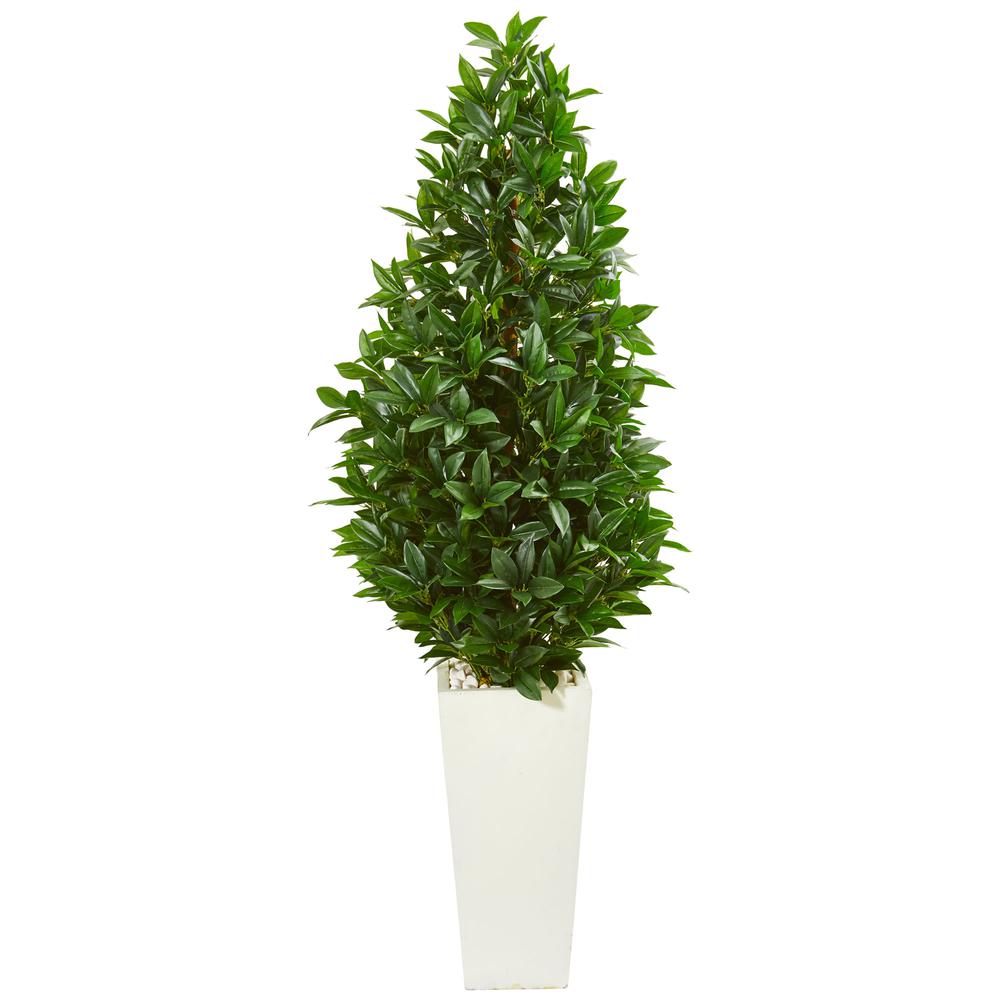 63in. Bay Leaf Cone Topiary Artificial Tree in White Planter (Indoor/Outdoor). Picture 1