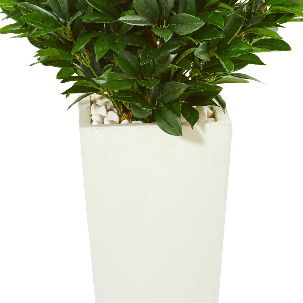 63in. Bay Leaf Cone Topiary Artificial Tree in White Planter (Indoor/Outdoor). Picture 3