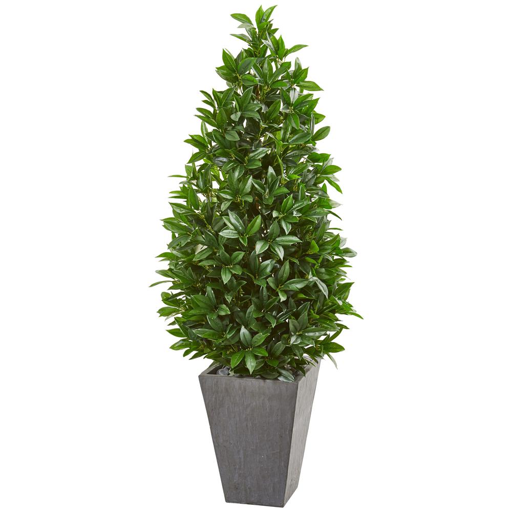57in. Bay Leaf Cone Topiary Tree in Slate Planter UV Resistant (Indoor/Outdoor). Picture 1